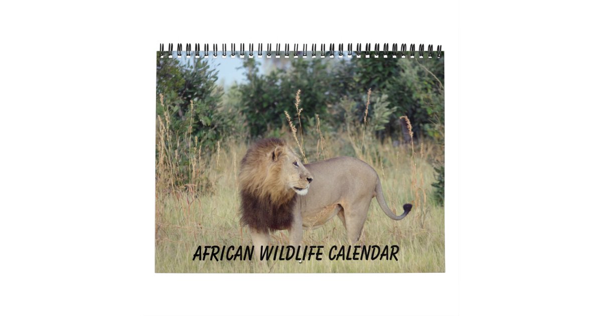 AFRICAN WILDLIFE CALENDAR Zazzle