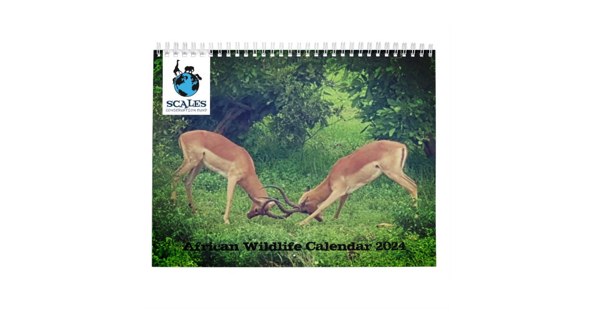 African Wildlife Calendar 2024 Zazzle