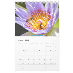 African Wildlife Calendar 2025