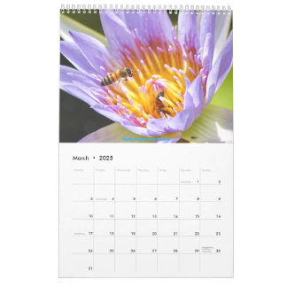 African Wildlife Calendar 2025