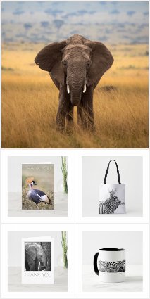 African Wildlife Fundraising Gifts 
