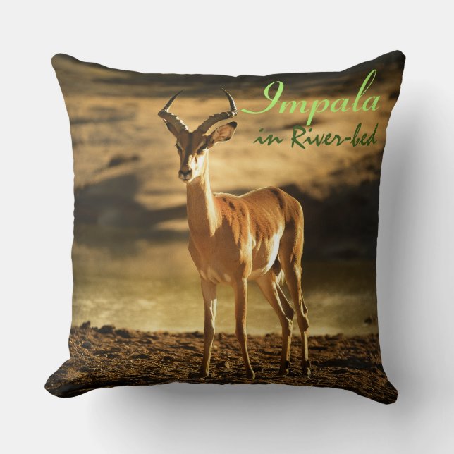 African Wildlife Impala in River-bed Throw Pillow (Front)