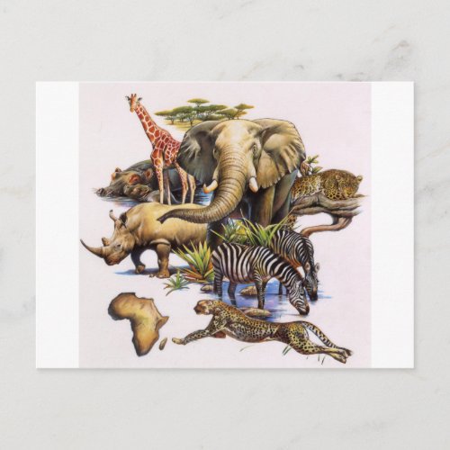 African Wildlife in Concert Postcard