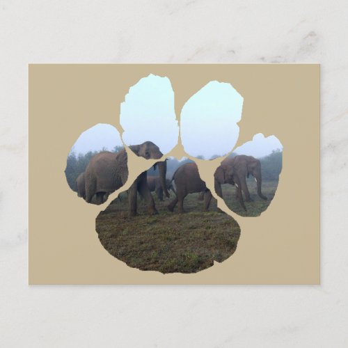 African Wildlife Lion Pawprint Elephant Herd Mist Postcard