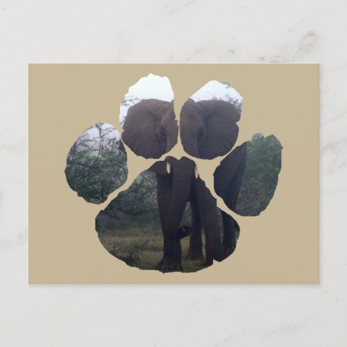 African Wildlife Lion Pawprint Elephant Mist Postcard