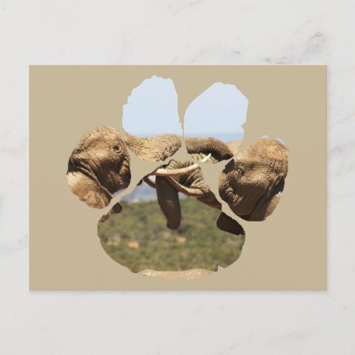 African Wildlife Lion Pawprint Elephant Tussle Postcard