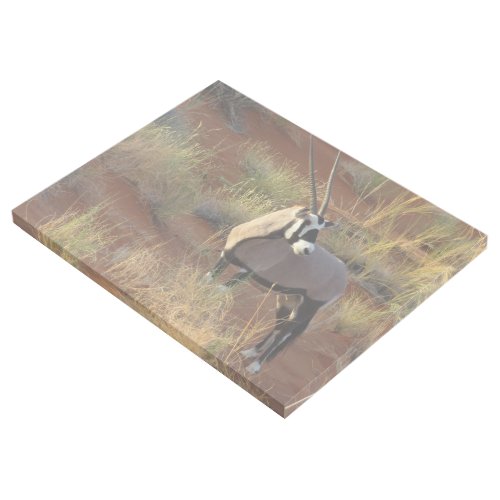 African Wildlife Oryx Antelope Sand Dune Savannah  Gallery Wrap