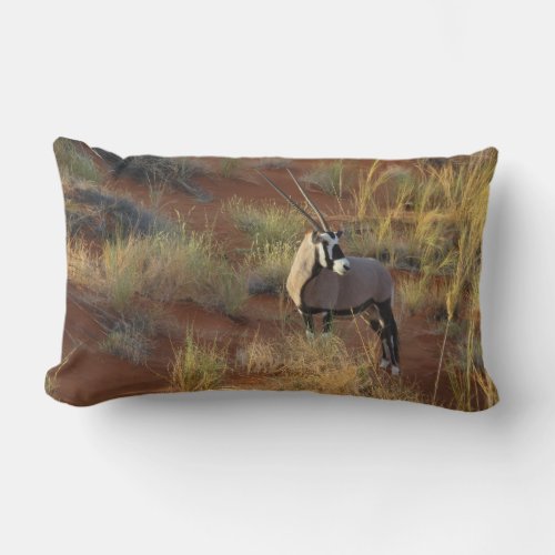 African Wildlife Oryx Antelope Sand Dune Savannah Lumbar Pillow