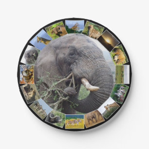 African Wildlife Photo Collage Elephant Bull Paper Plates