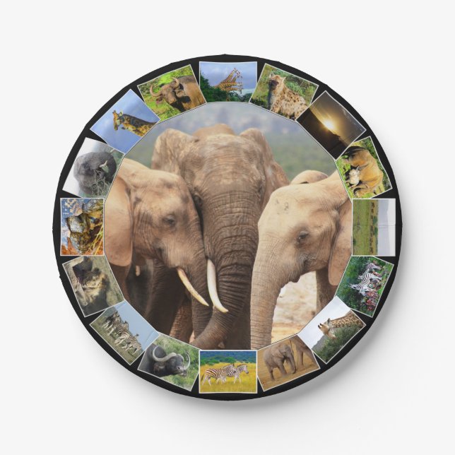 African Wildlife Photo Collage Elephant Family Paper Plates (Front)
