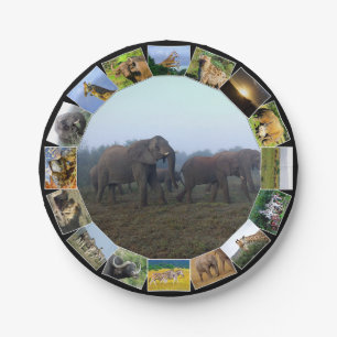 African Wildlife Photo Collage Elephant Herd Mist Paper Plates