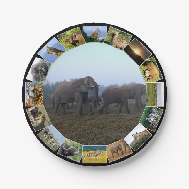 African Wildlife Photo Collage Elephant Herd Mist Paper Plates (Front)