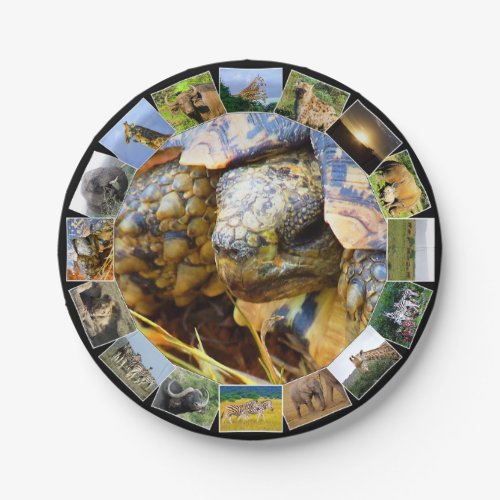 African Wildlife Photo Collage Leopard Tortoise Paper Plates