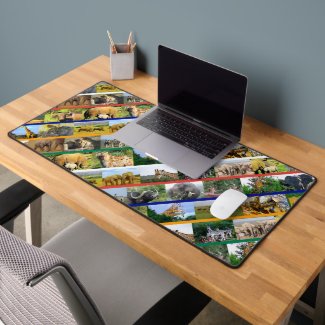 African Wildlife Photography Collage Multi Colors