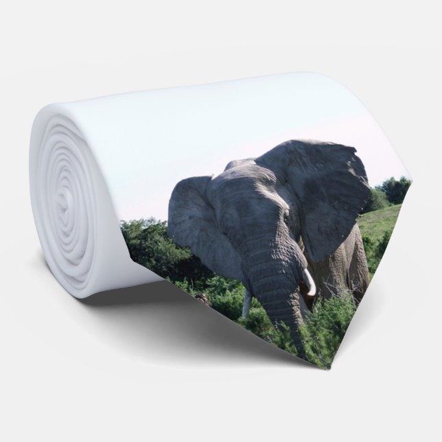 African Wildlife Photography Elephant Big Ears Neck Tie (Rolled)