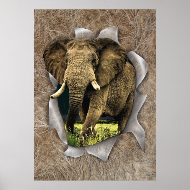 African Wildlife Poster (Front)