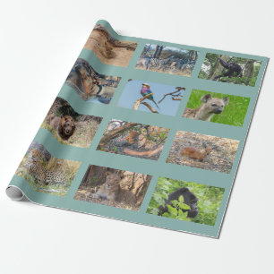 African wildlife wrapping paper