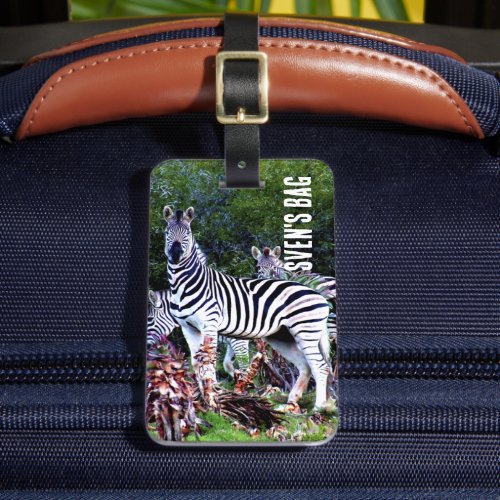 African Zebra Aloe Luggage Tag