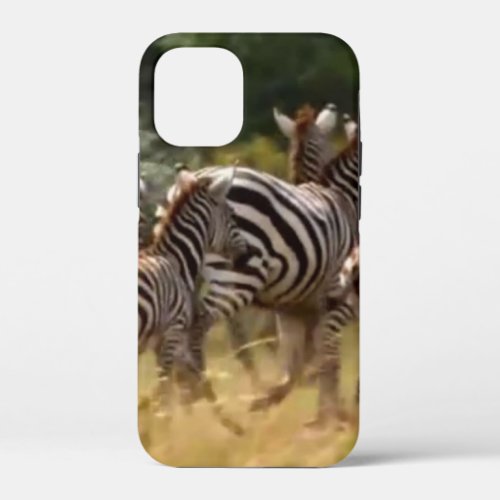 African Zebra cool stuff iPhone 12 Mini Case