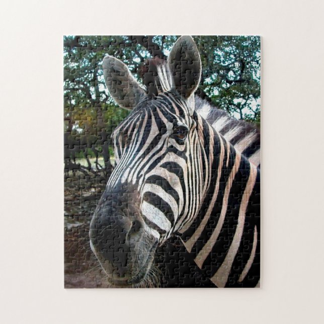 African Zebra. Jigsaw Puzzle (Vertical)