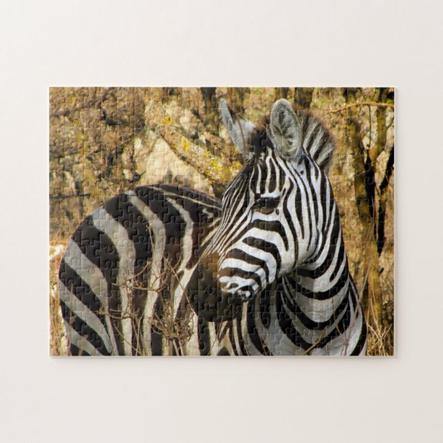 African Zebra Jigsaw Puzzle (Horizontal)
