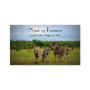 African Zebras in a Natural Setting Business Card
