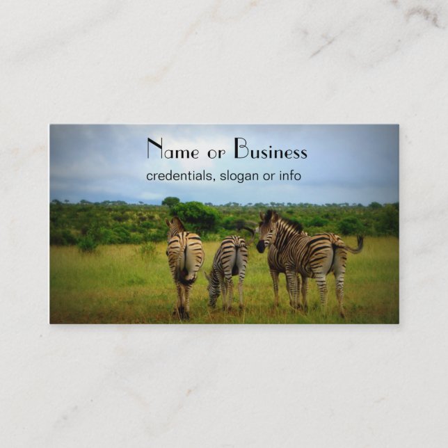 African Zebras in a Natural Setting Business Card (Front)