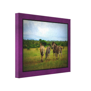 African Zebras in a Natural Setting Canvas Print