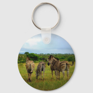 African Zebras in a Natural Setting Keychain