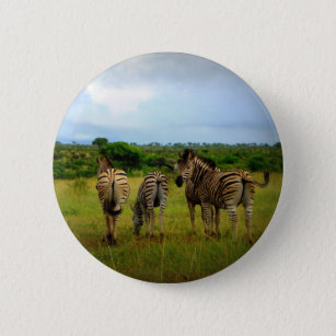 African Zebras in a Natural Setting Pinback Button