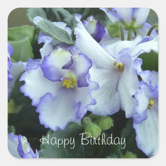 Africann Violet Happy Birthday stickers | Zazzle.com