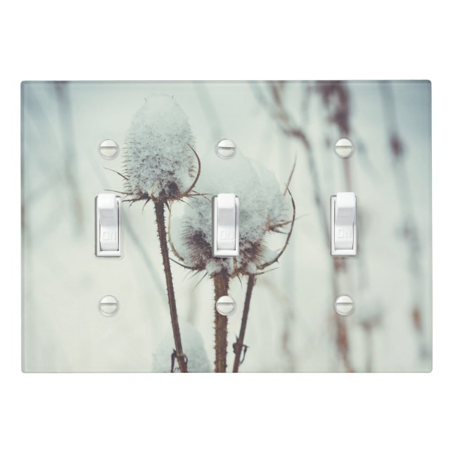 After a snowfall light switch cover (In Situ)