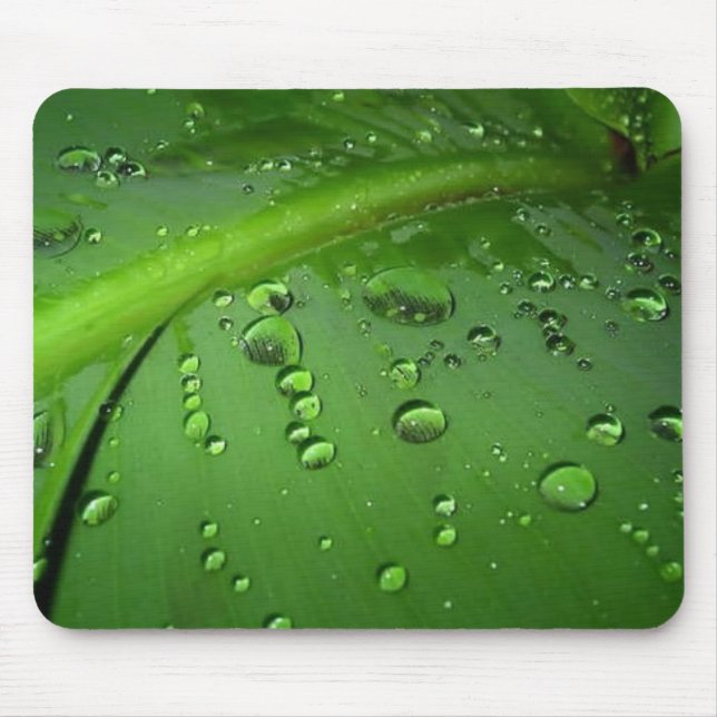 After rain mouse pad (Front)