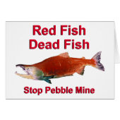 After Salmon - Stop Pebble Mine (Front Horizontal)