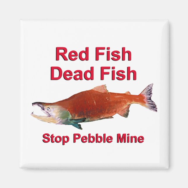 After Salmon - Stop Pebble Mine Magnet (Front)