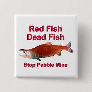 After Salmon - Stop Pebble Mine Pinback Button