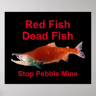 After Salmon - Stop Pebble Mine Poster