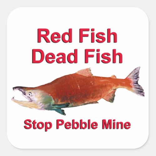 After Salmon _ Stop Pebble Mine Square Sticker