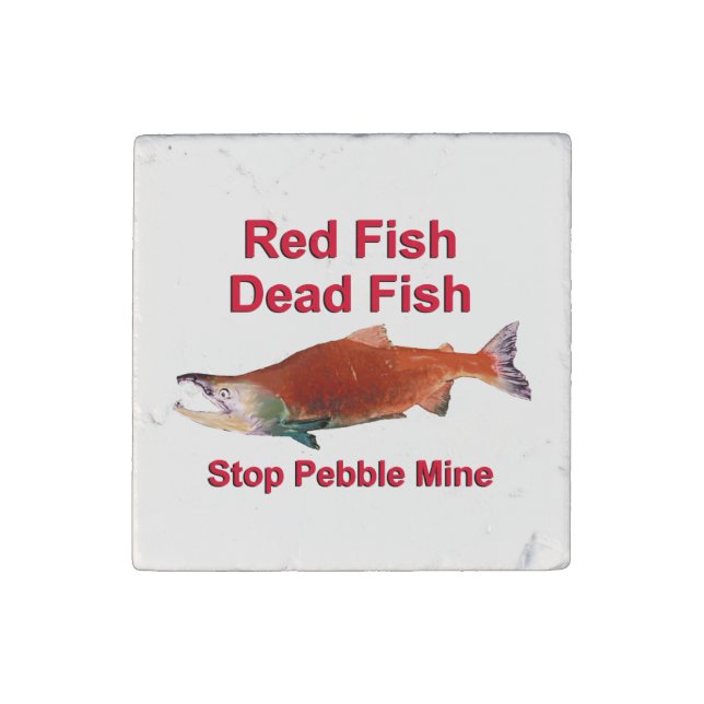 After Salmon - Stop Pebble Mine Stone Magnet (Front)