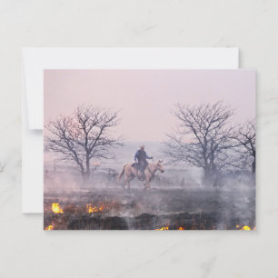 After the Prairie Fire, Flint Hills, Kansas Postcard