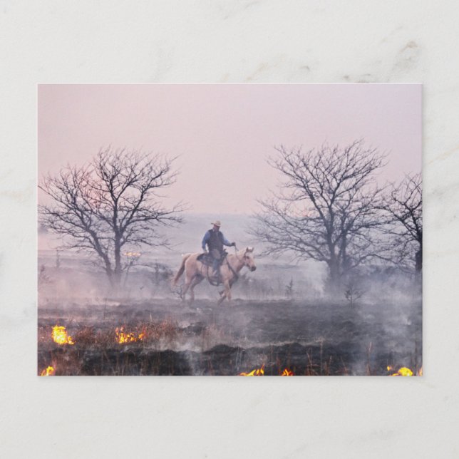 After the Prairie Fire, Flint Hills, Kansas Postcard (Front)