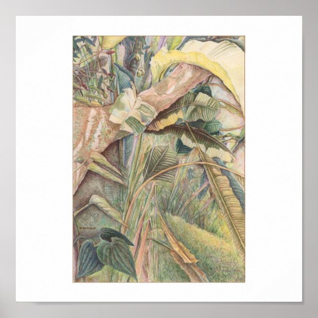 After The Rain © 2010 Poster (Front)