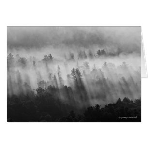 After the Rain - ADK - Card