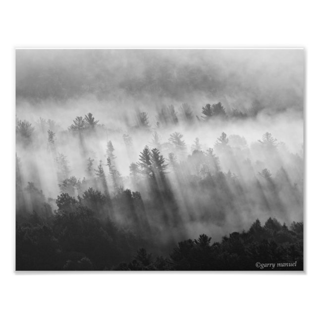 After the Rain - Early Morning in the Adirondacks Photo Print (Front)