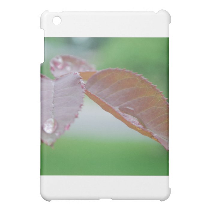 after the rain iPad mini cases