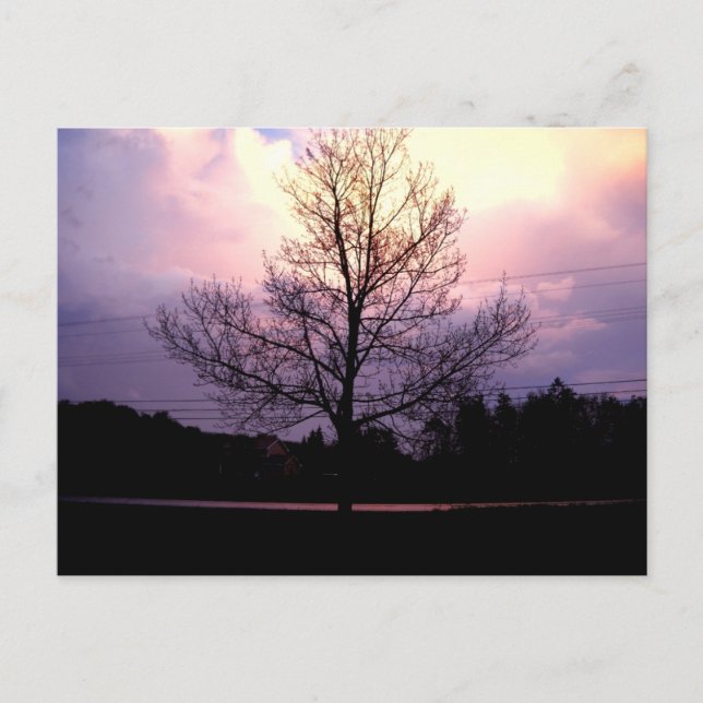 After The Rain Postcard (Front)