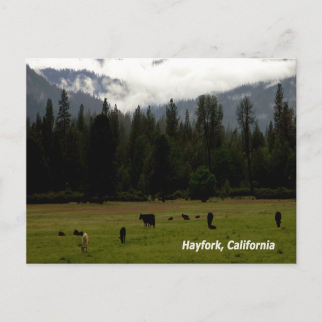 After the rain....... postcard (Front)