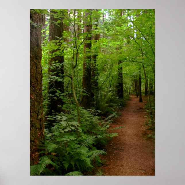 after the rain poster (Front)