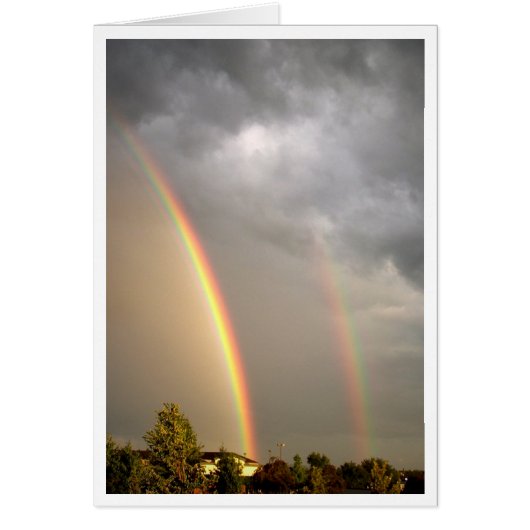 After the Storm Cards (Front)