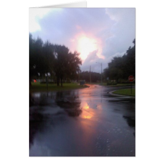 After the Storm Cards (Front)